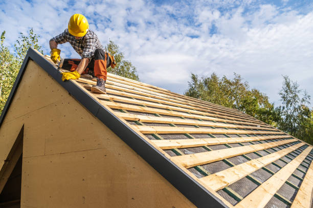 Roof Gutter Cleaning in Deer Park, IL